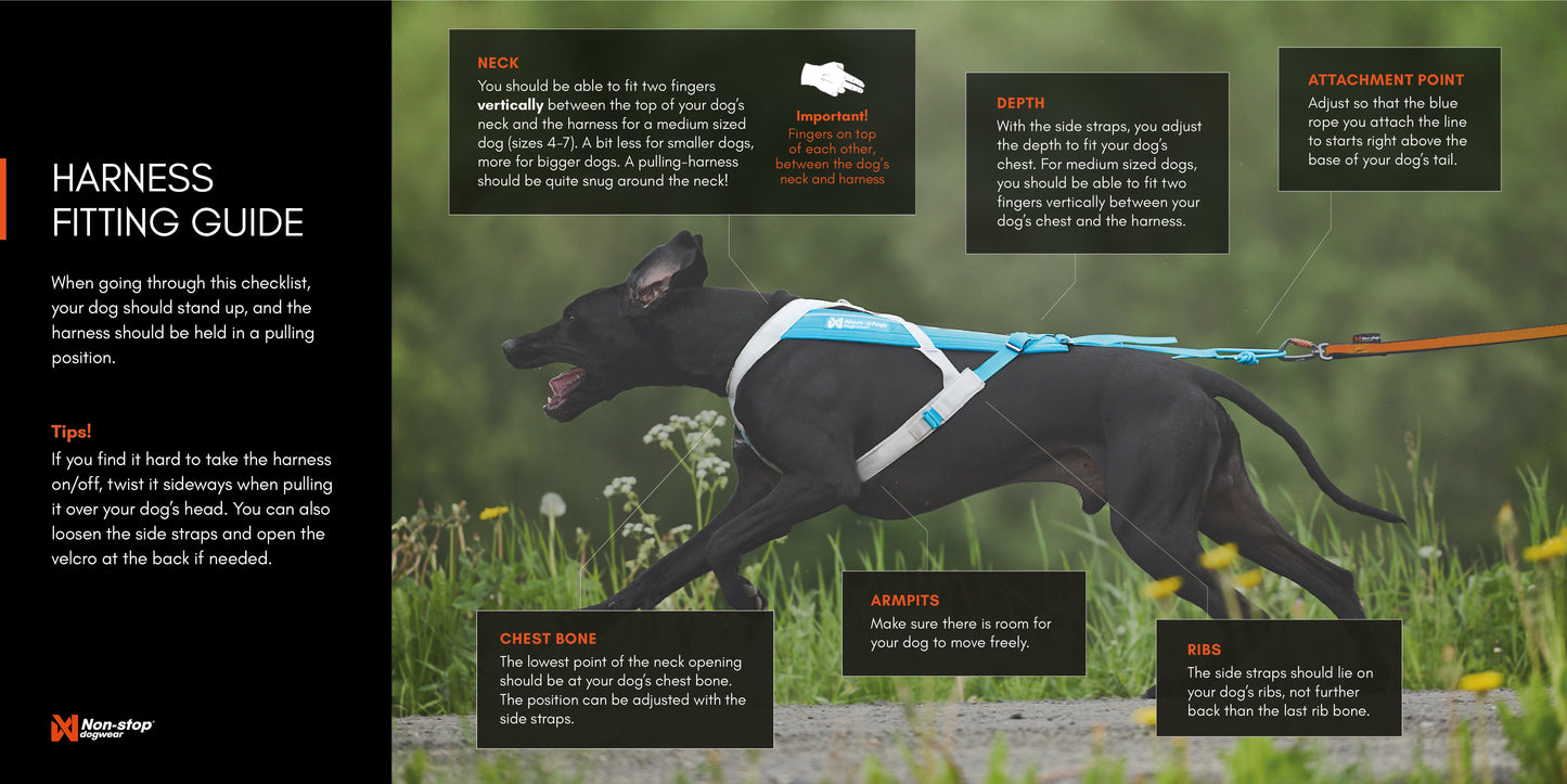 Freemotion Harness 5.0 LTD-Outlet