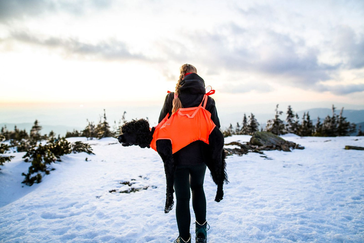 Non-stop dogwear- Dog Rescue Sling