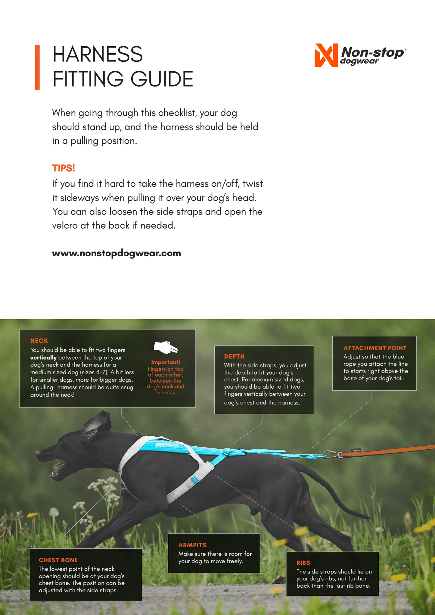 Freemotion 5.0 Harness-Outlet