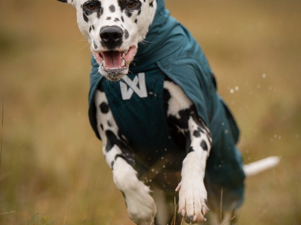 Non-stop dogwear Fjord Lined Raincoat