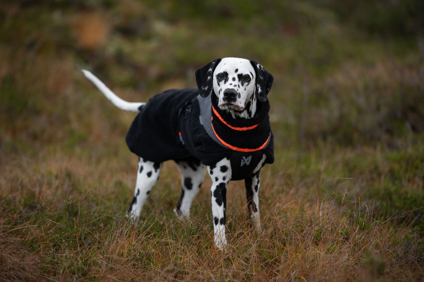 Trekking fleece dog jacket