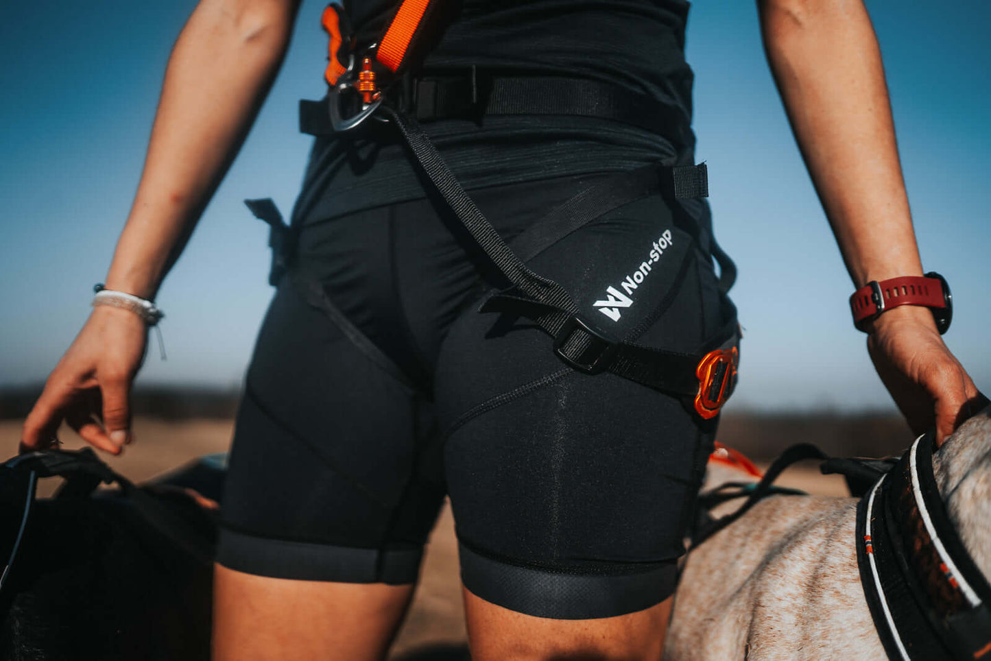 Canix Short Tights (Ladies)