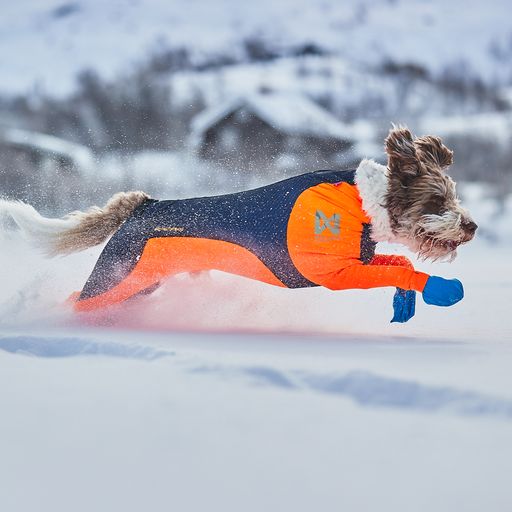 Protector Snow-Outlet