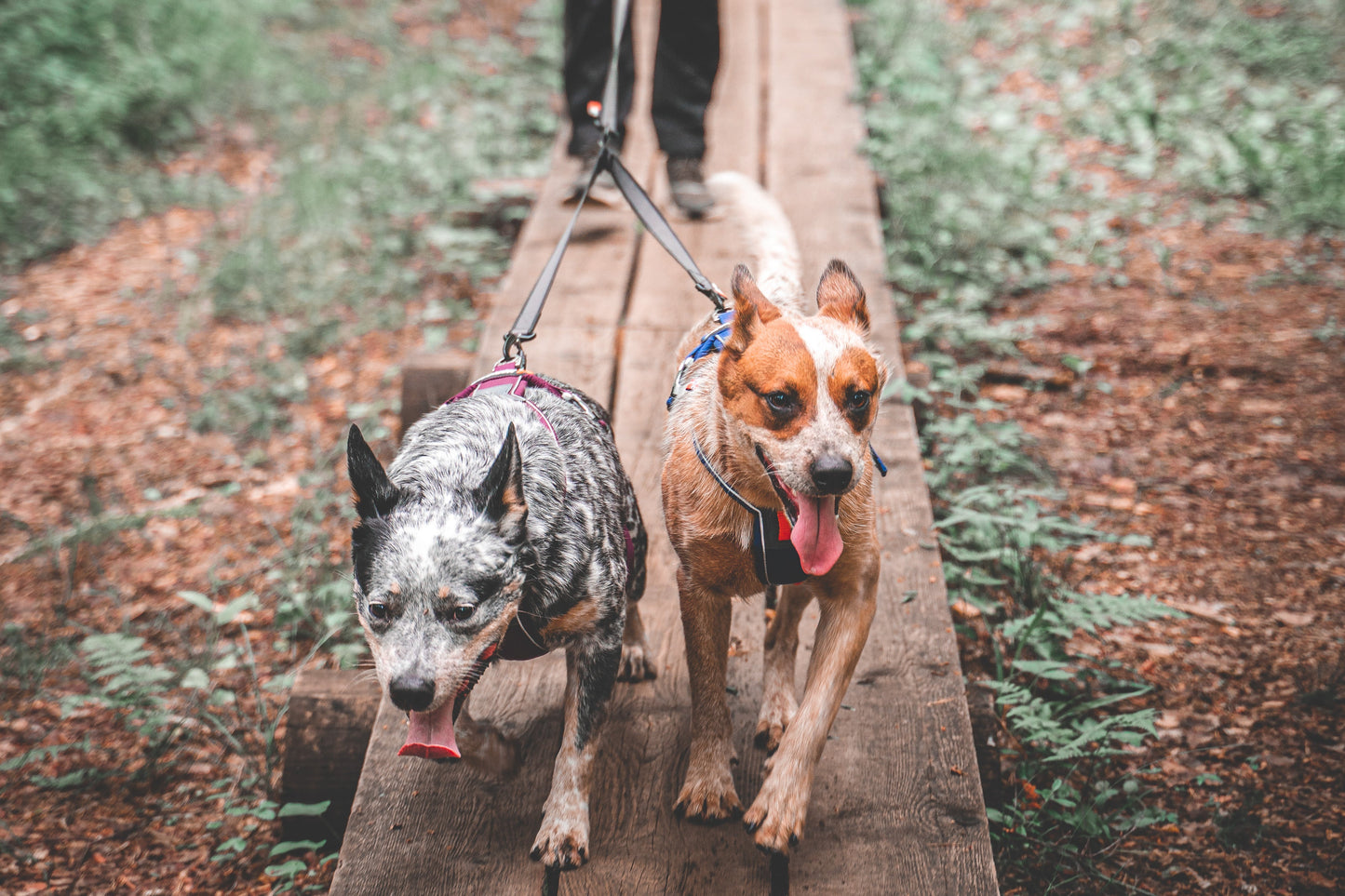 Touring double-Outlet