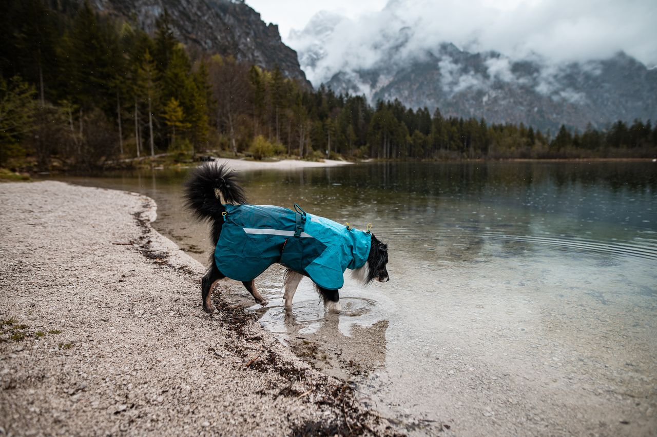 Non-stop dogwear Fjord raincoat 2.0