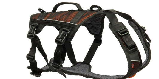 The Versatile and Supportive Dog Harness: A Must-Have for Every Dog Owner