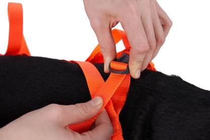 Non-stop dogwear- Dog Rescue Sling