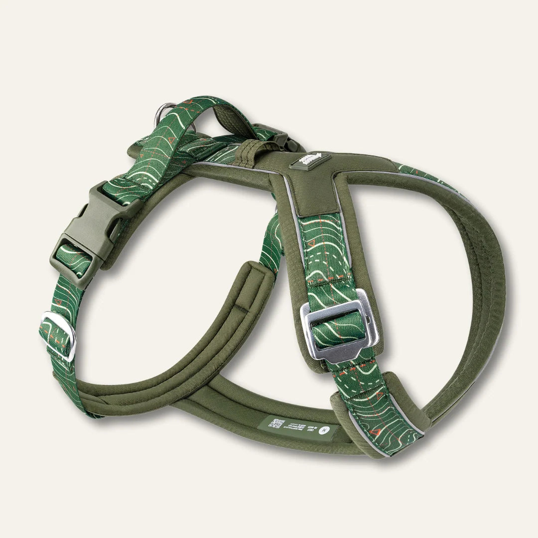 Twiggy Tags Apex® Harness