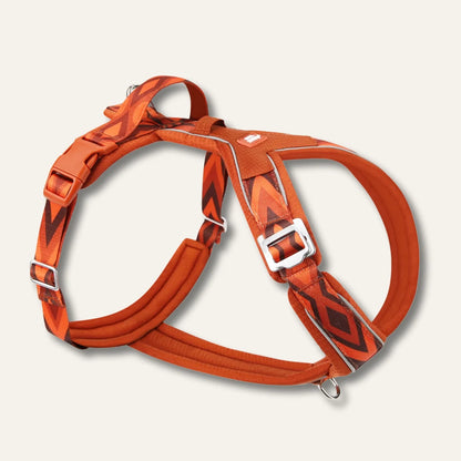 Twiggy Tags Apex® Harness