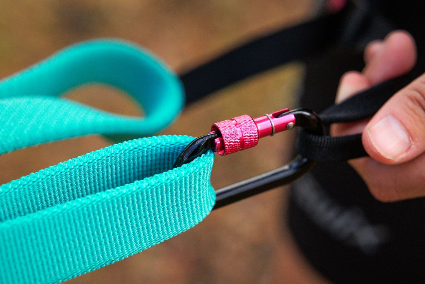 Non-stop dogwear Bungee Leash Pro