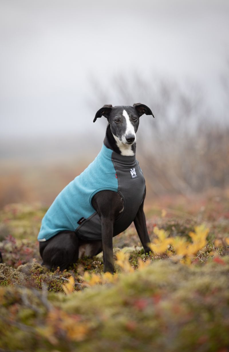 Non-stop dogwear Trail Quest Fleece Pullover