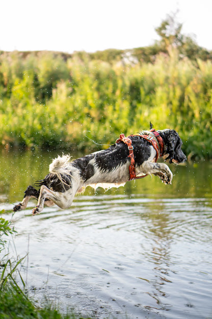 Twiggy Tags Apex® Harness