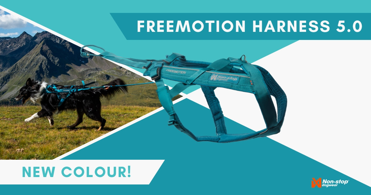 Freemotion 5.0 Harness