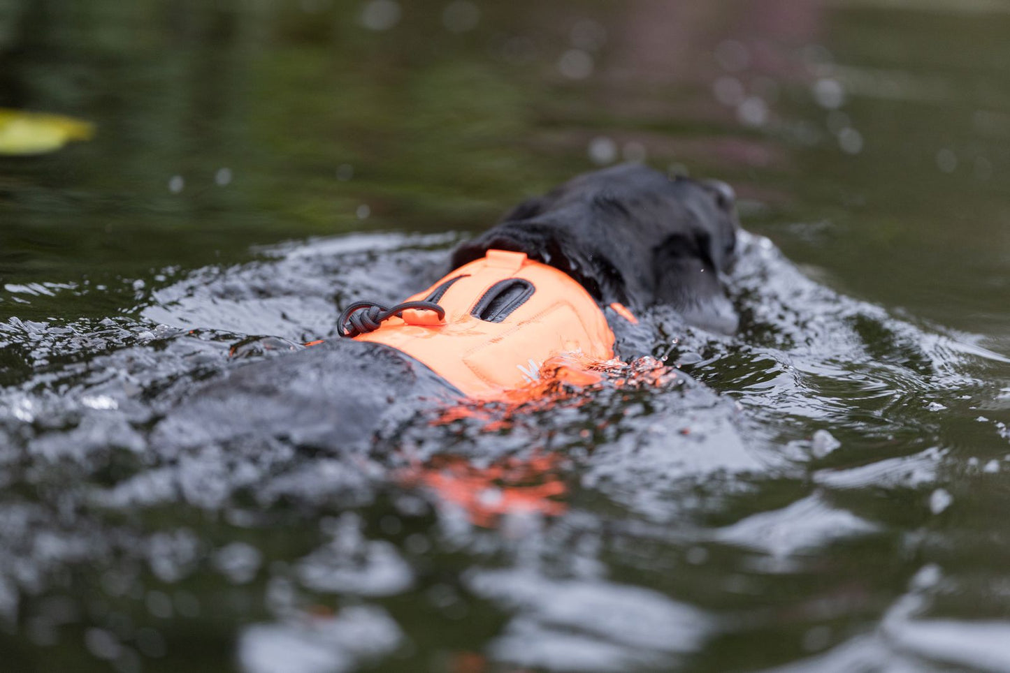 Non-stop dogwear Protector Neoprene Vest
