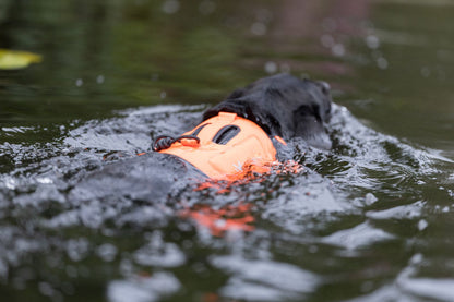 Non-stop dogwear Protector Neoprene Vest