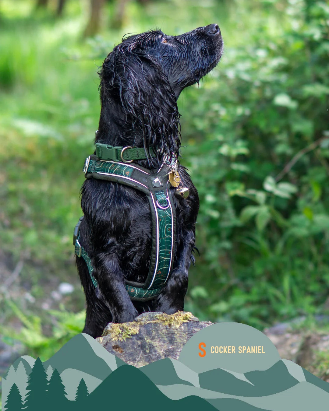Twiggy Tags Apex® Harness