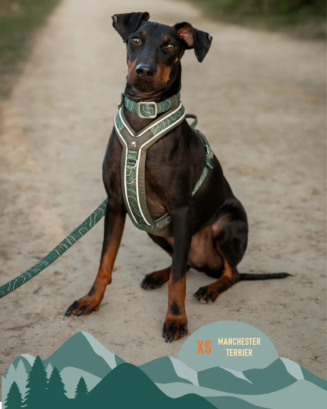 Twiggy Tags Apex® Harness