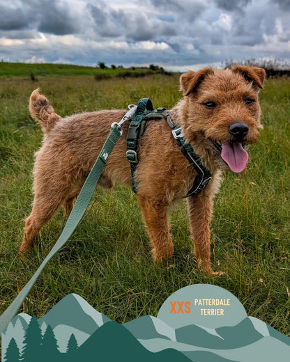 Twiggy Tags Apex® Harness