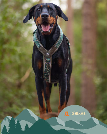 Twiggy Tags Apex® Harness