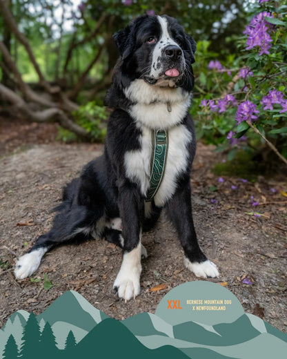 Twiggy Tags Apex® Harness