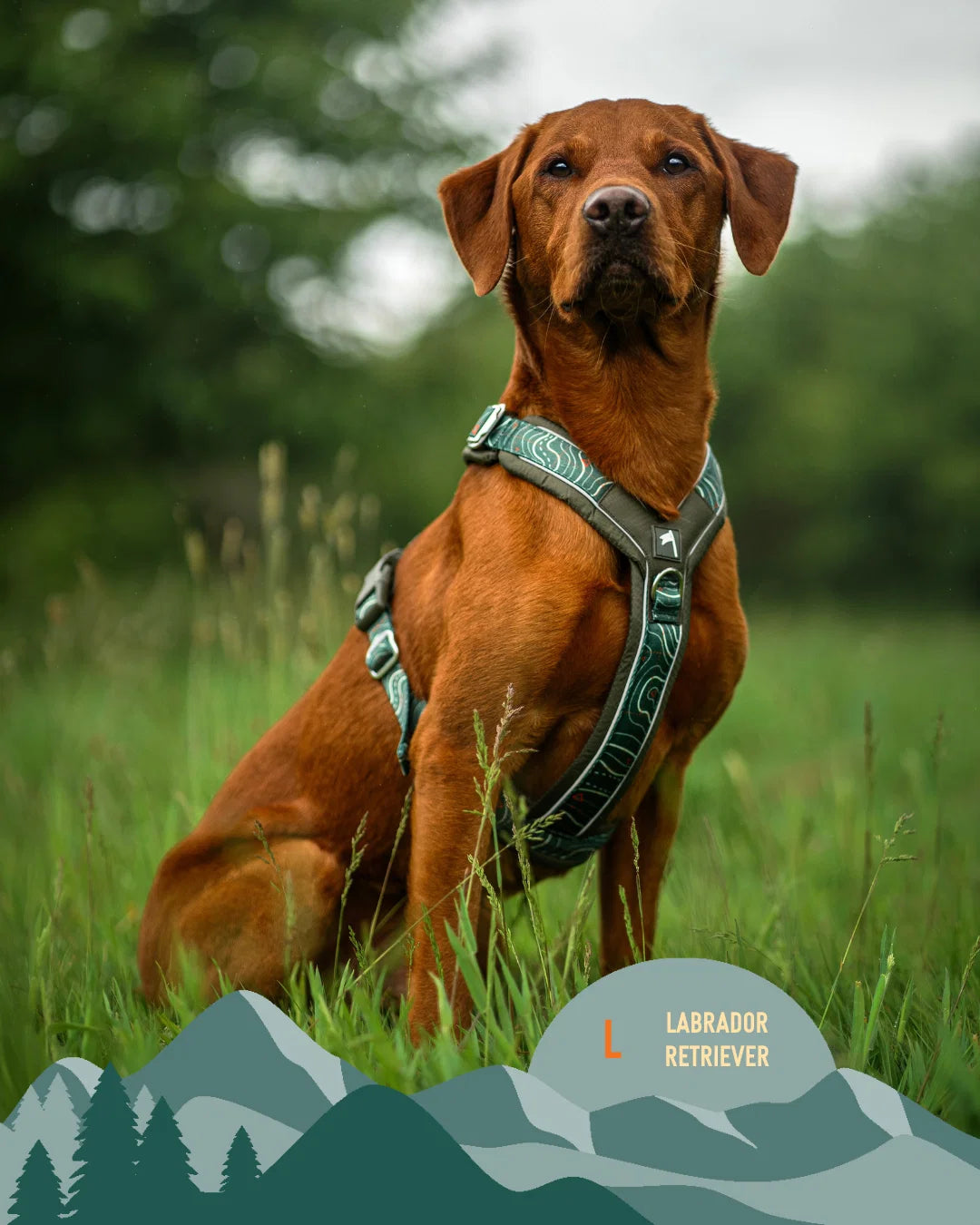 Twiggy Tags Apex® Harness