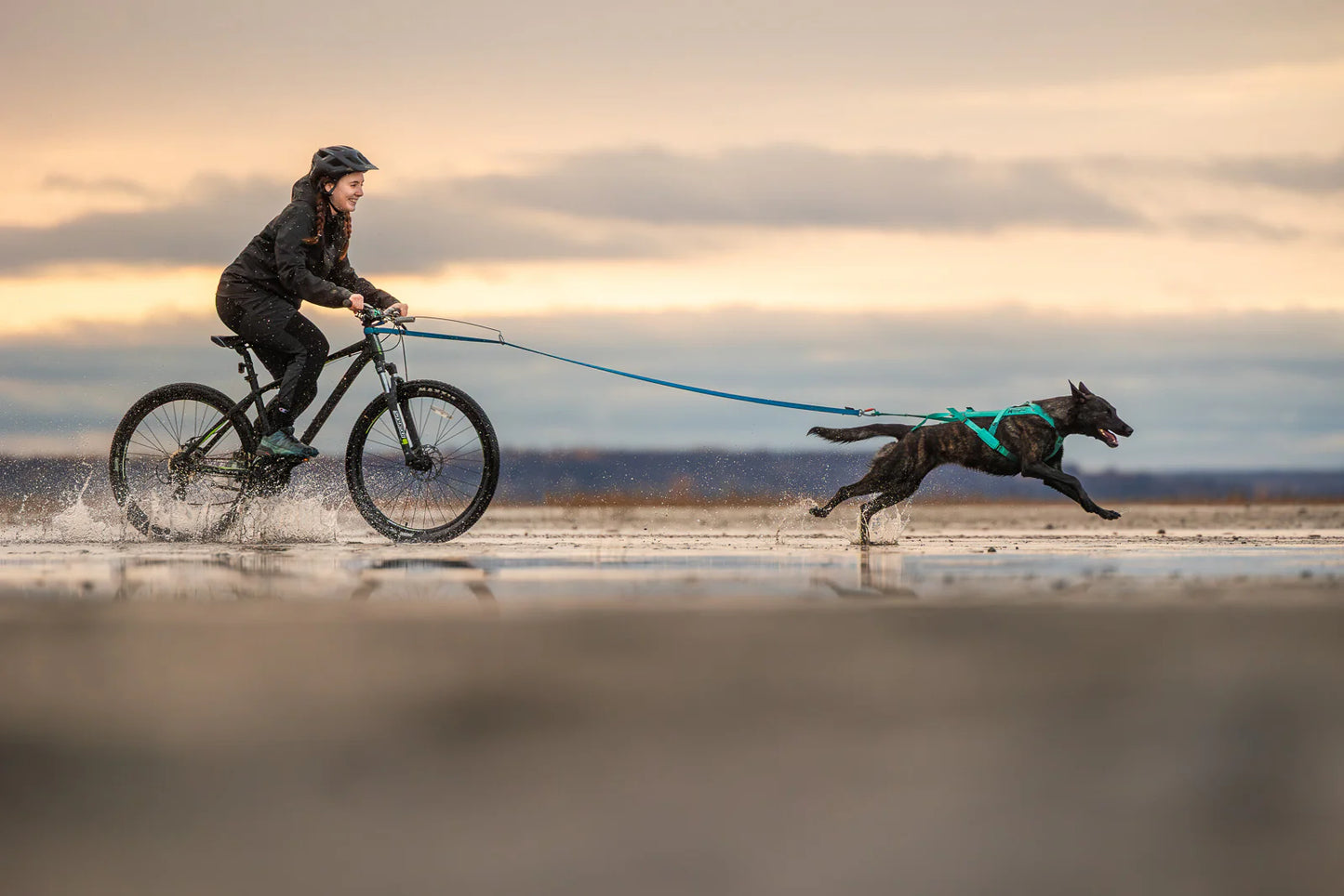 Freemotion 5.0 Harness