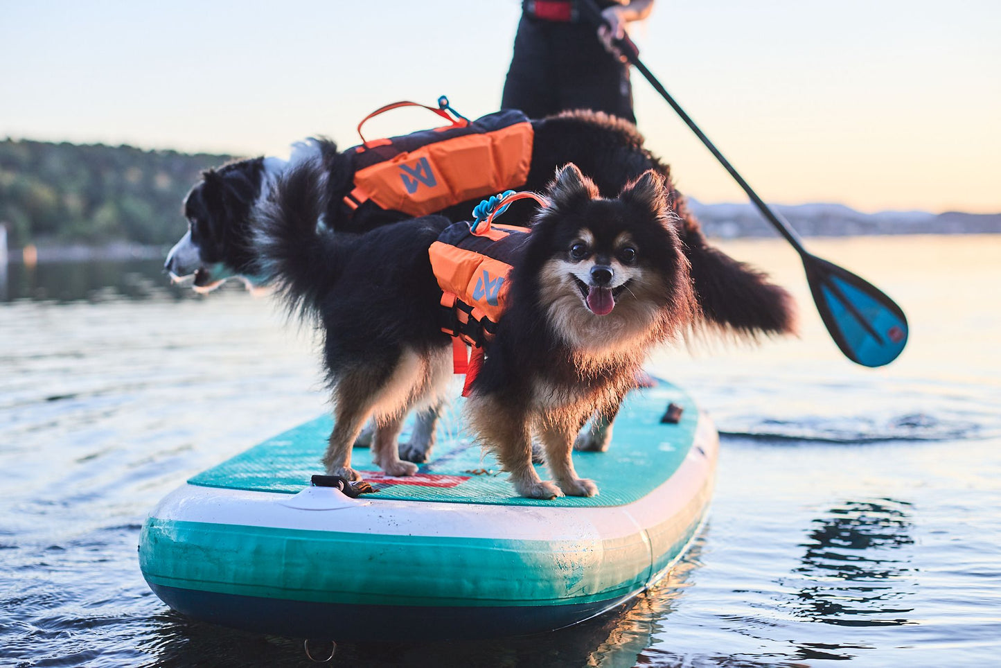 Protector Life Jacket