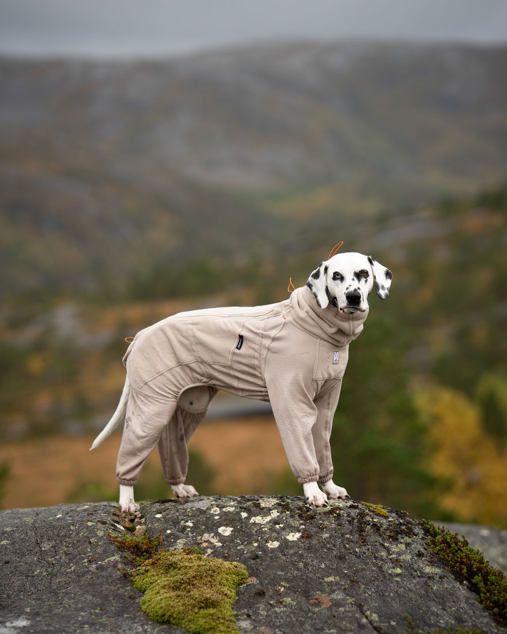 Non-stop dogwear Trail Quest Fleece Overall