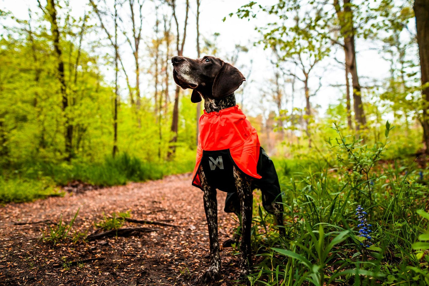 Non-stop dogwear Fjord raincoat 2.0