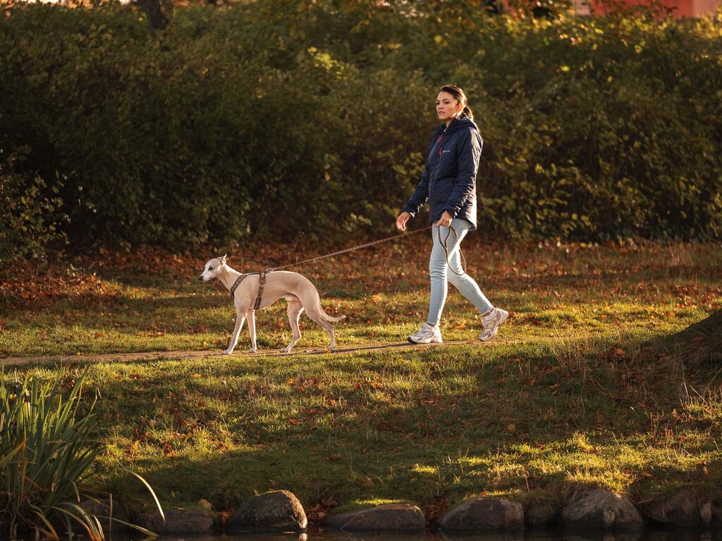Trail Quest Leash(Rachel Pohl edition)