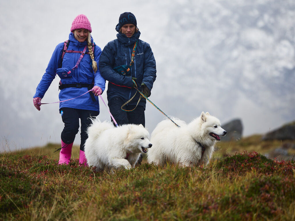 Trail Quest Leash(Rachel Pohl edition)
