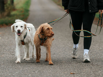 Trail Quest Leash(Rachel Pohl edition)