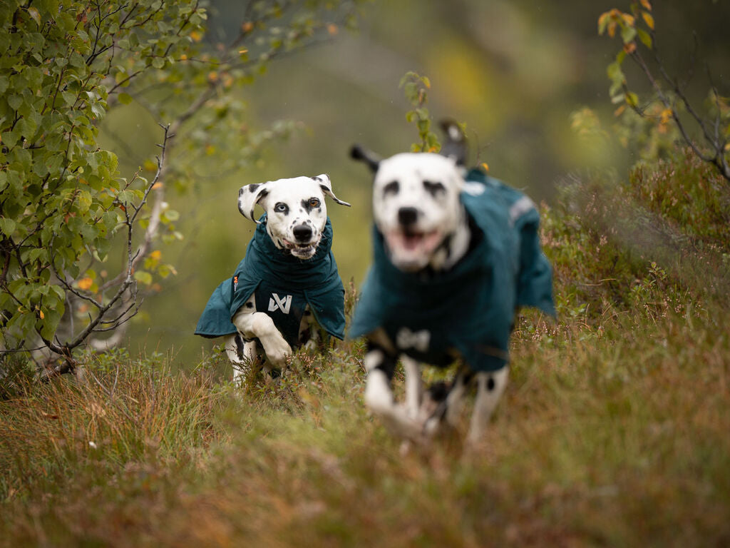 Non-stop dogwear Fjord Lined Raincoat