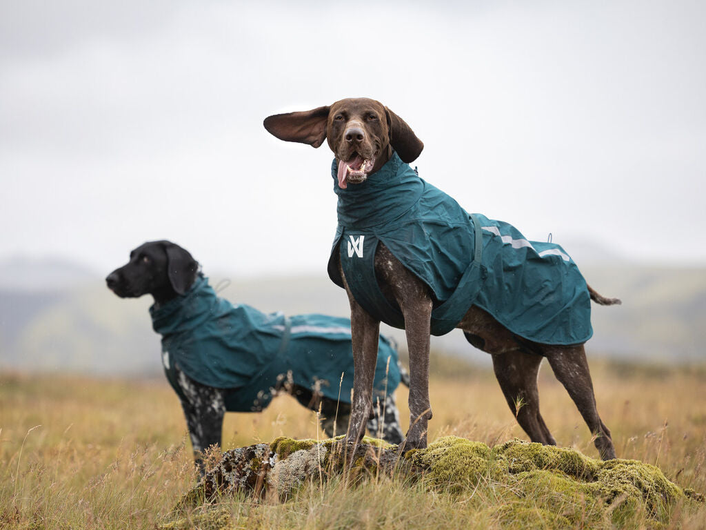 Non-stop dogwear Fjord Lined Raincoat