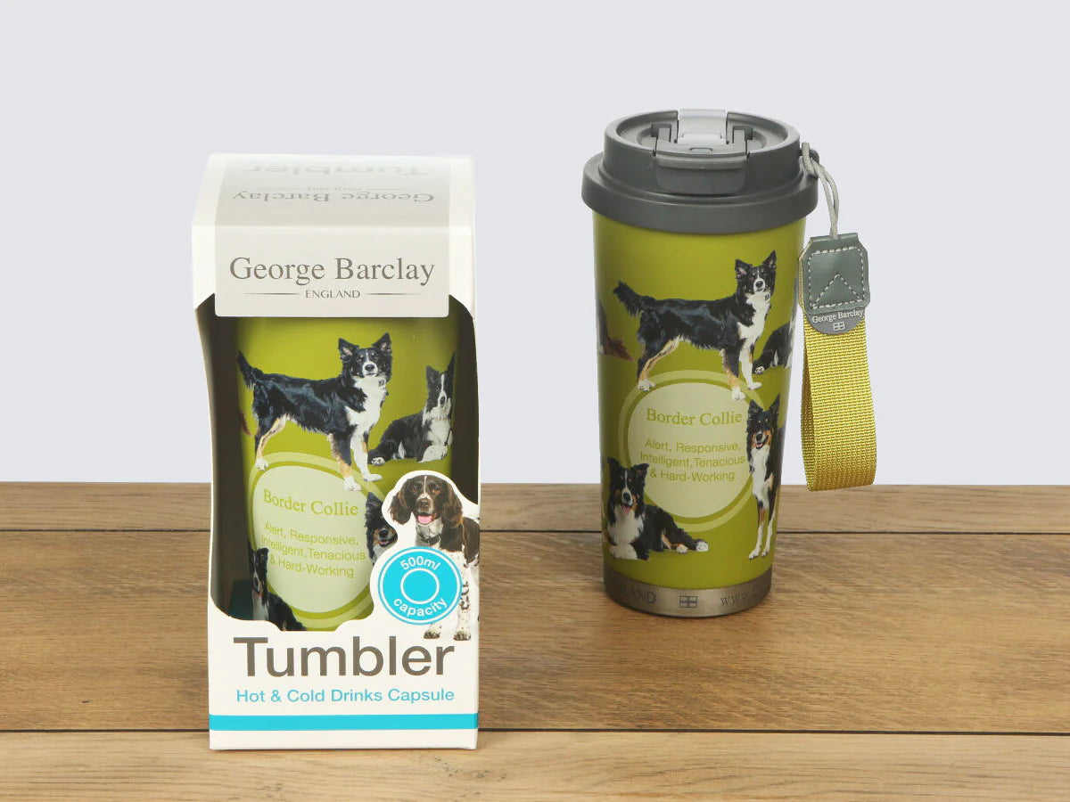 Tumbler - Border Collie