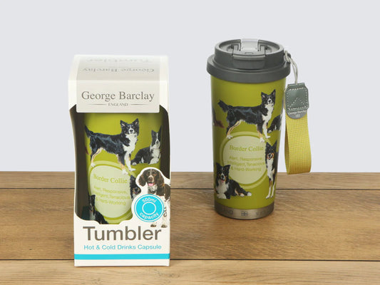 Tumbler - Border Collie