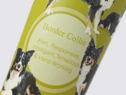 Tumbler - Border Collie