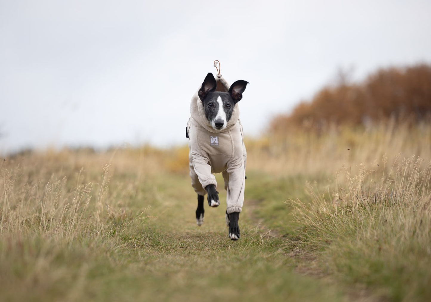 Non-stop dogwear Trail Quest Fleece Overall