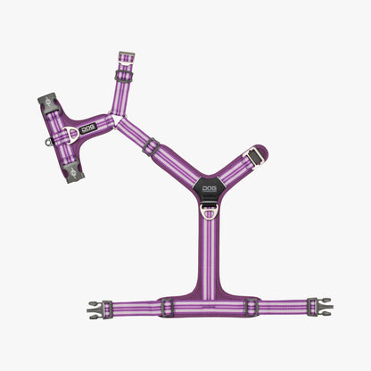 Dog Copenhagen Comfort Walk Air™ Harness