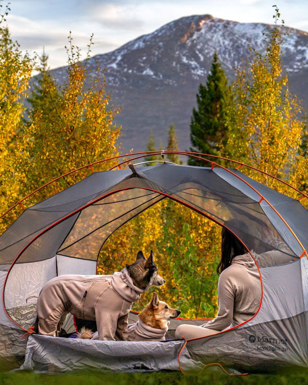 Non-stop dogwear Trail Quest Fleece Overall