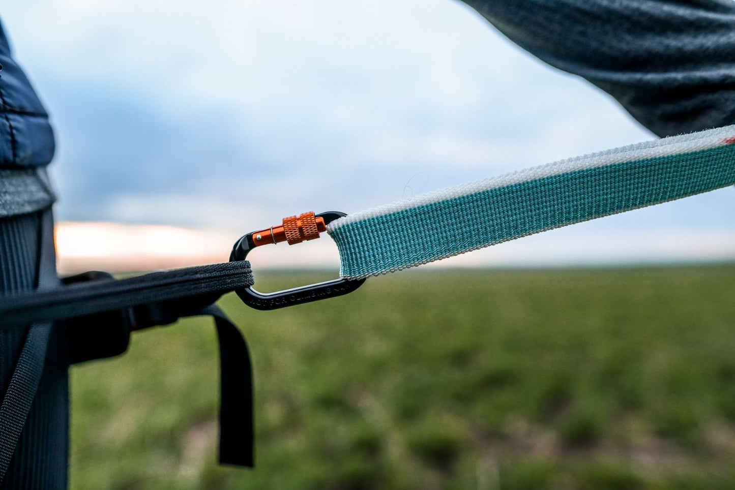 Non-stop dogwear Bungee Leash Pro