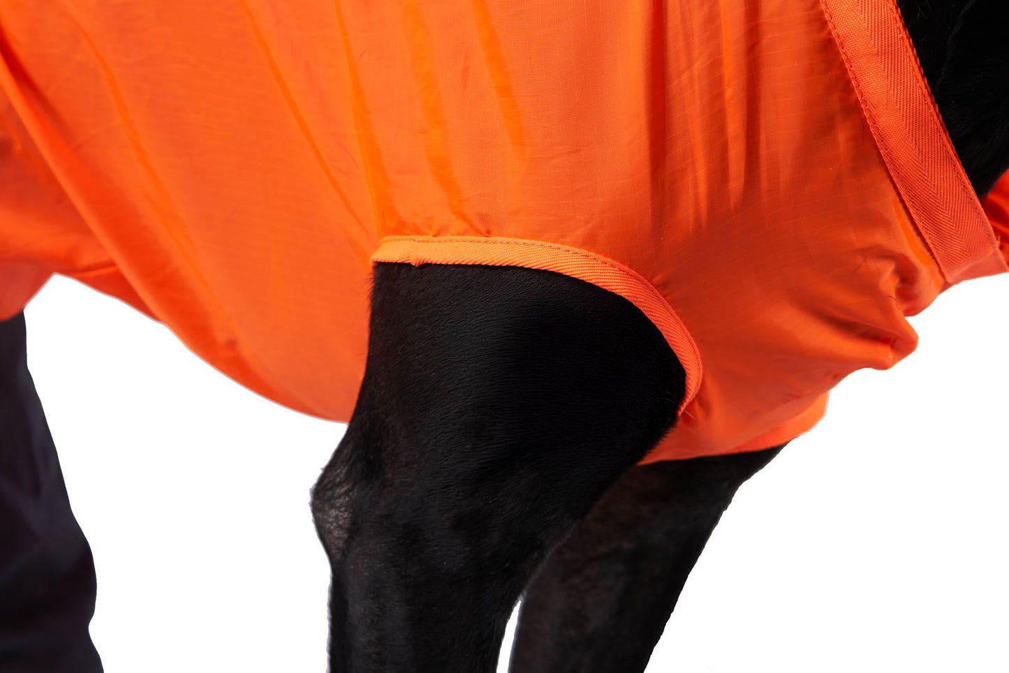 Non-stop dogwear- Dog Rescue Sling