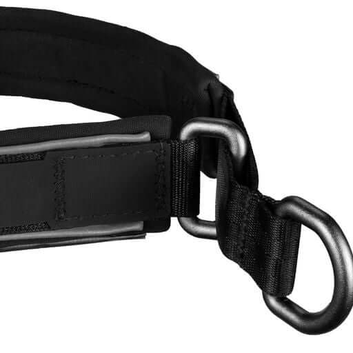 Dog Collar