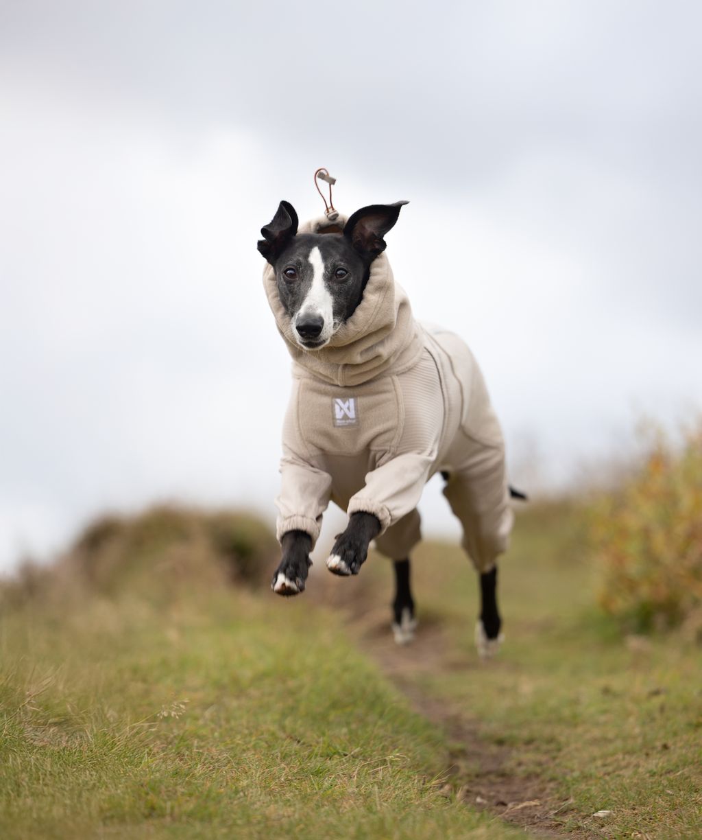 Non-stop dogwear Trail Quest Fleece Overall