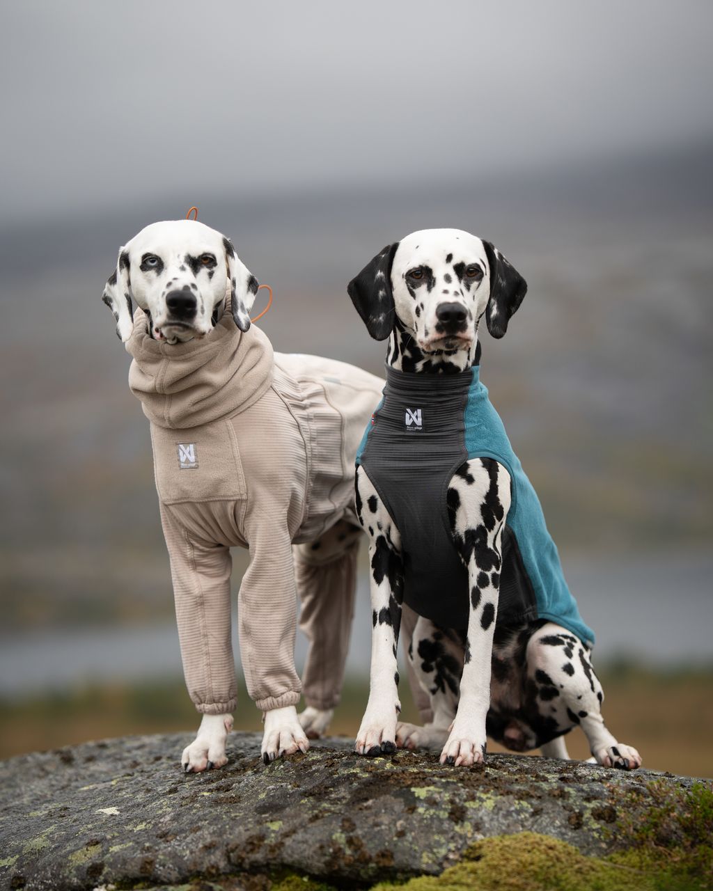 Non-stop dogwear Trail Quest Fleece Overall