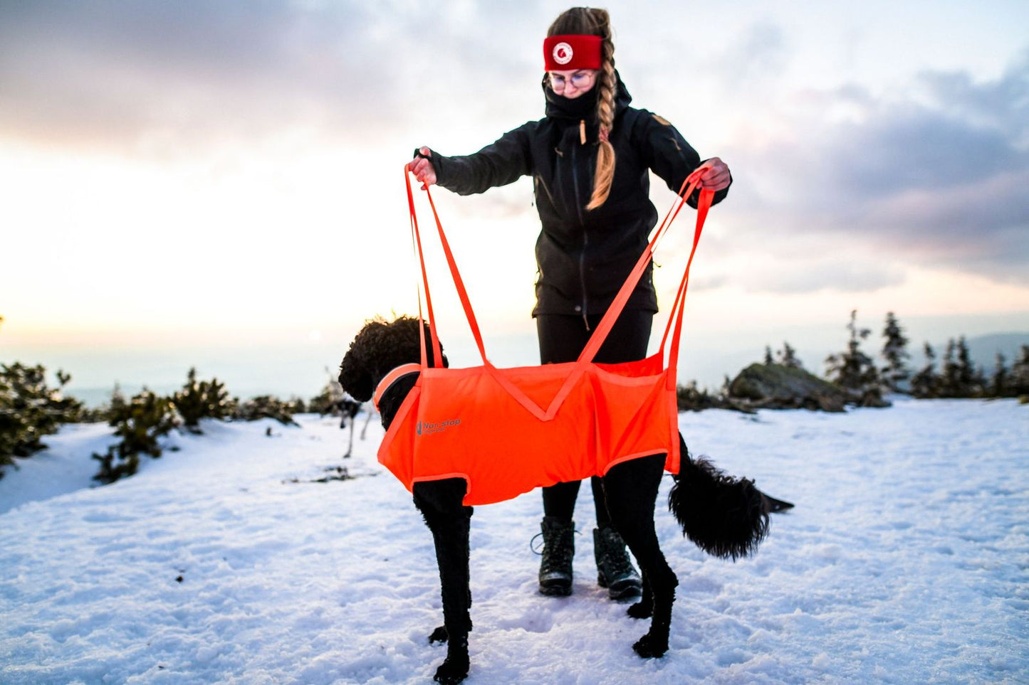 Non-stop dogwear- Dog Rescue Sling