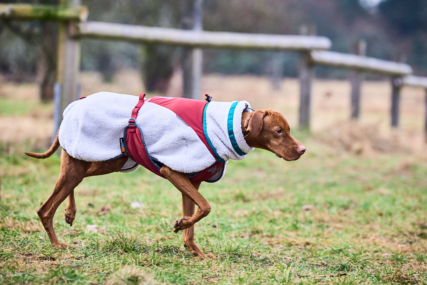 Trekking fleece dog jacket