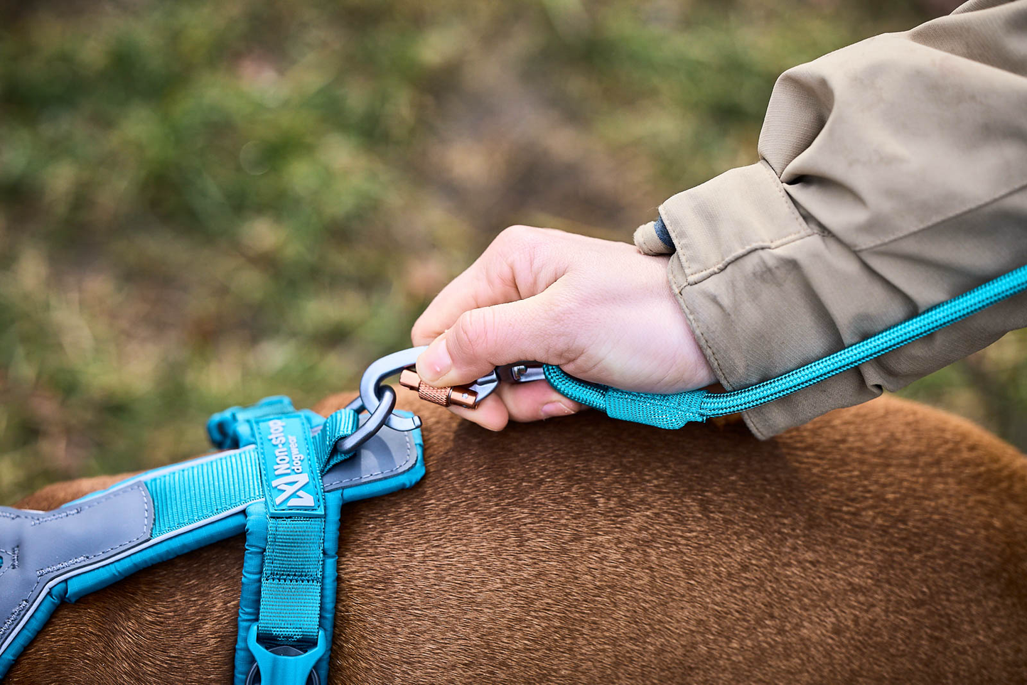 Trekking rope leash