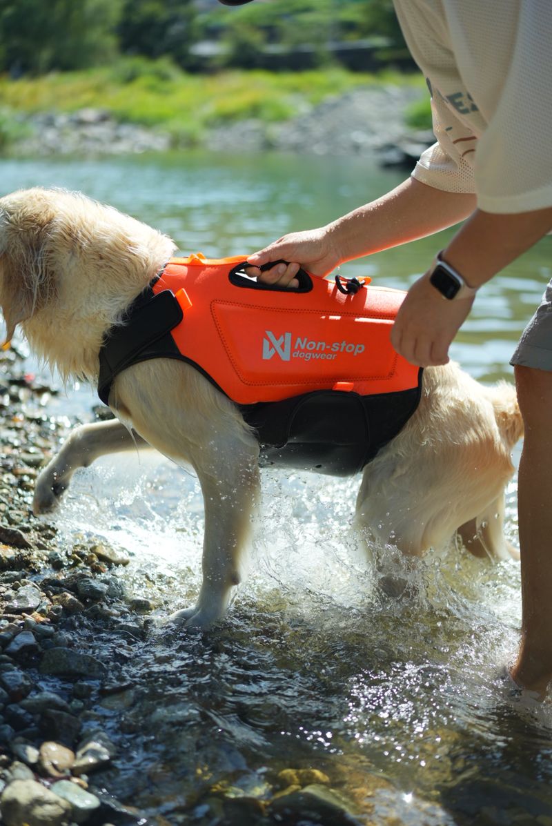 Non-stop dogwear Protector Neoprene Vest